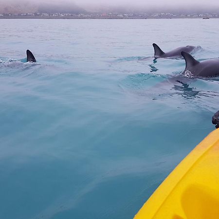 K'Orca Cottage By The Sea Kaikoura Ngoại thất bức ảnh